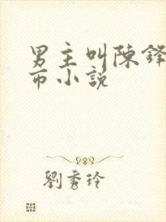 男主叫陈锋的都市小说