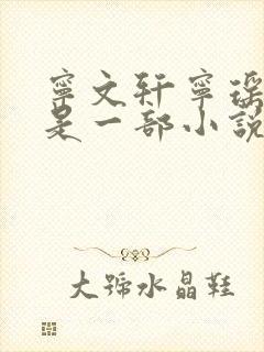 宁文轩宁瑶宁珊是一部小说