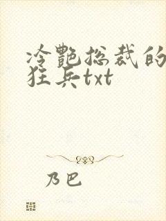 冷艳总裁的贴身狂兵txt