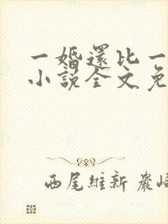 一婚还比一婚高小说全文免费阅读