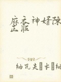 麻衣神婿陈黄皮正版