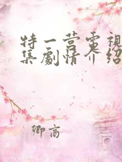 特一营电视剧全集剧情介绍