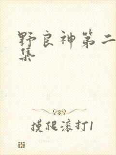 野良神第二季全集