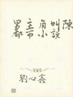 男主角叫陈安的都市小说