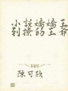 小说娇娇王妃驾到撩的王爷脸红心跳