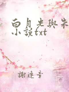 白月光与朱砂痣小说txt
