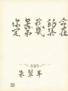 你是我的命中注定第几集在一起