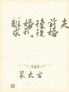 离婚后前夫哭着求我复婚