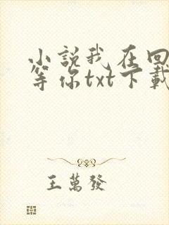 小说我在回忆里等你txt下载