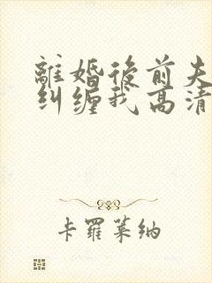 离婚后前夫总想纠缠我高清