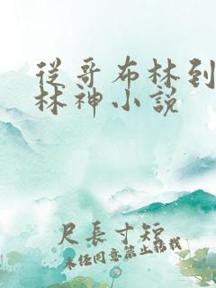 从哥布林到哥布林神小说