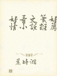 好看文笔好的言情小说推荐