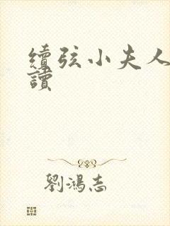 续弦小夫人 阅读