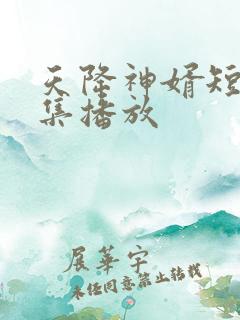 天降神婿短剧全集播放