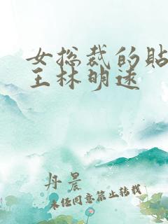 女总裁的贴身兵王林明远