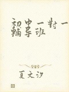 初中一对一地理辅导班