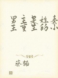 男主是姓秦的女主重生的小说