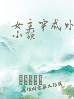 女主穿成外室的小说