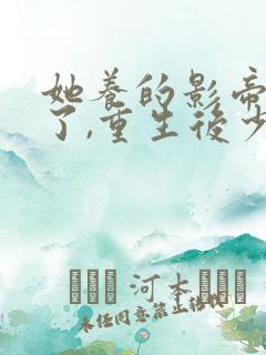 她养的影帝黑化了,重生后少惹他