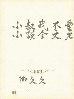 小叔我不爱你了小说全文免费阅读