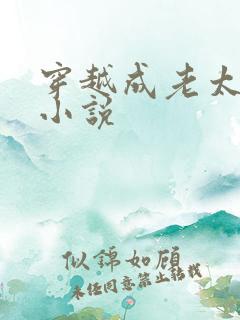 穿越成老太太的小说