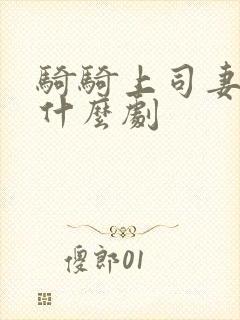 骑骑上司妻属于什么剧