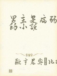 男主是病弱少爷的小说