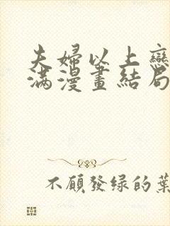 夫妇以上恋人未满漫画结局