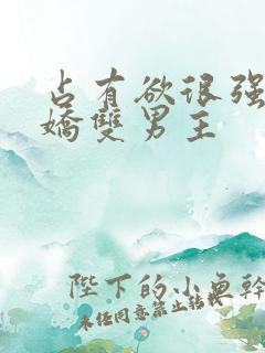 占有欲很强的病娇双男主