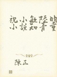 祝小敏陆明铮的小说知青重生