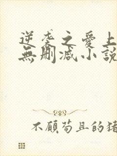 逆袭之爱上情敌无删减小说