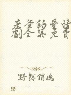 老爸的爱情电视剧全集免费观看