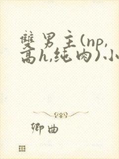 双男主(np,高h,纯肉)小说推荐