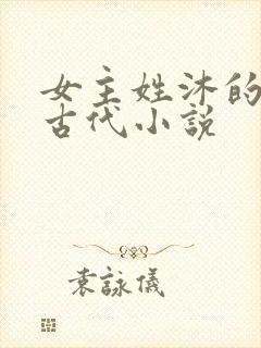 女主姓沐的重生古代小说