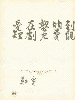 爱在黎明到来前短剧免费观看全集高清