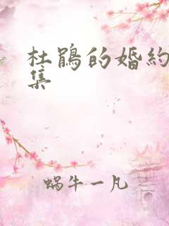 杜鹃的婚约多少集