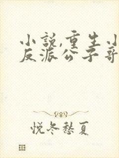 小说,重生小说反派公子哥