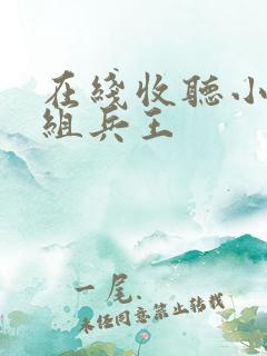 在线收听小说龙组兵王