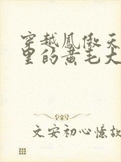穿越凤傲天小说里的黄毛大反派也想要幸福