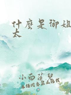 什么是御姐和正太