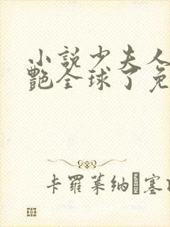 小说少夫人她惊艳全球了免费阅读