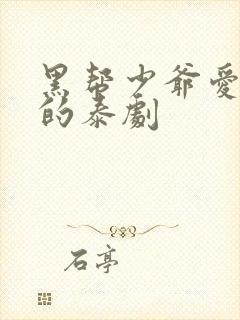 黑帮少爷爱上我的泰剧