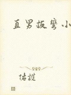 直男扳弯小说