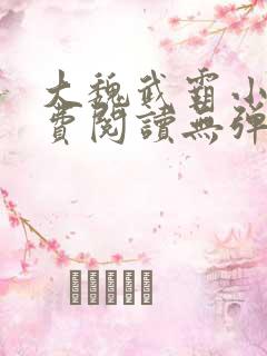 大魏武霸小说免费阅读无弹窗