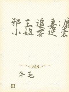 邪王追妻:废柴小姐要逆袭小说txt