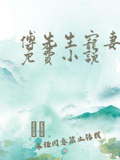 傅先生宠妻无度免费小说