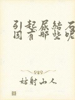 引起尿结石的原因有哪些呢