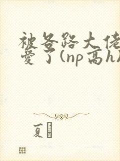 被各路大佬强制爱了(np高h)