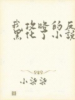 我攻略的反派都黑化了小说完整