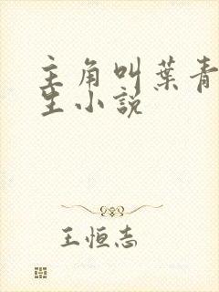 主角叫叶青的重生小说